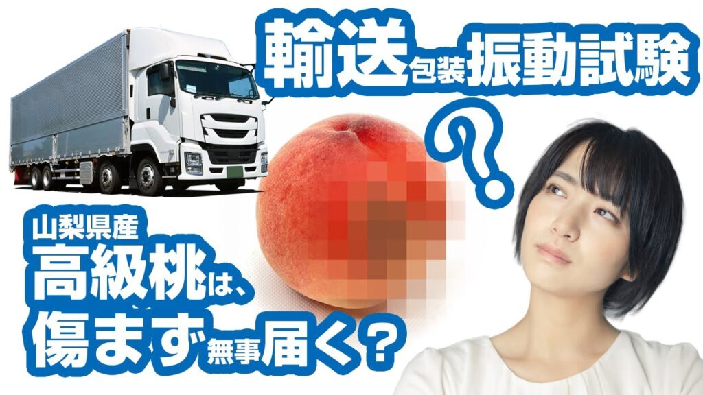 山梨県産高級桃は、輸送振動で傷まず無事に届くのか?動画のサムネイル画像